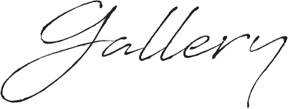 ギャラリー